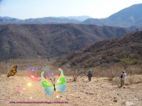 /album/santaclaradelc-caracuaro/a100-4468-copia-jpg/